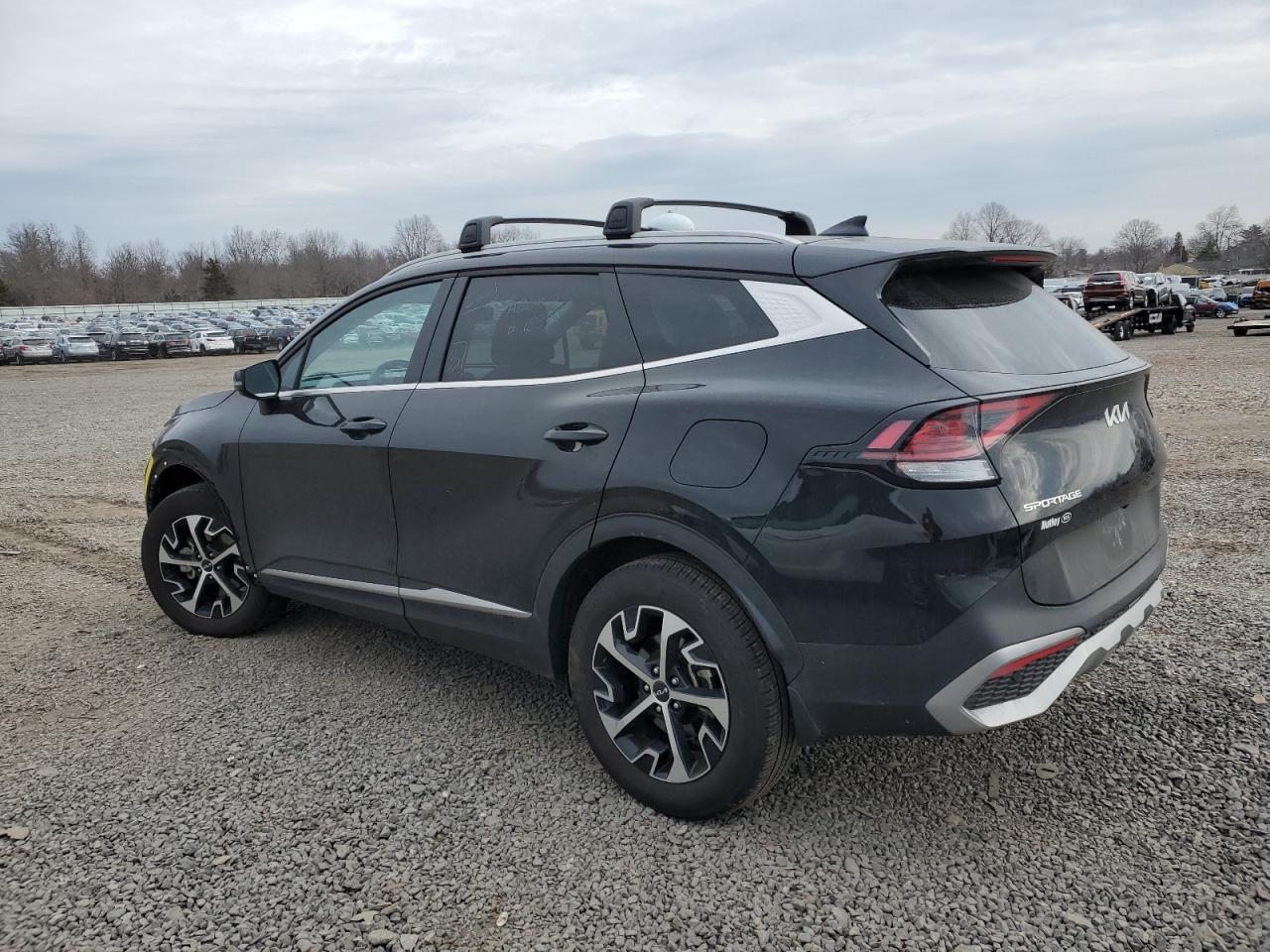 2024 KIA SPORTAGE EX VIN:5XYK3CDF8RG162711
