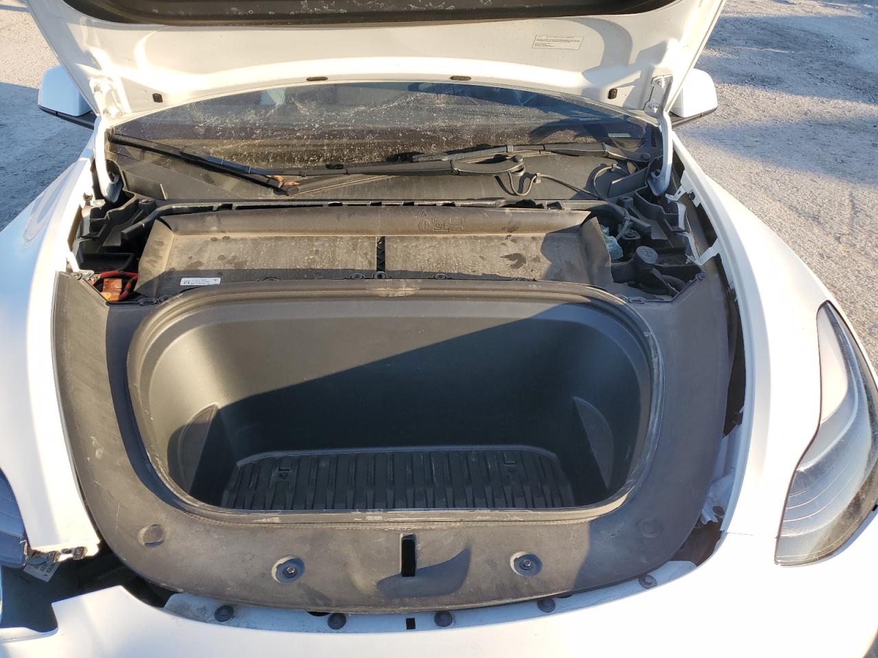 2022 TESLA MODEL Y  VIN:7SAYGDEF8NF494770