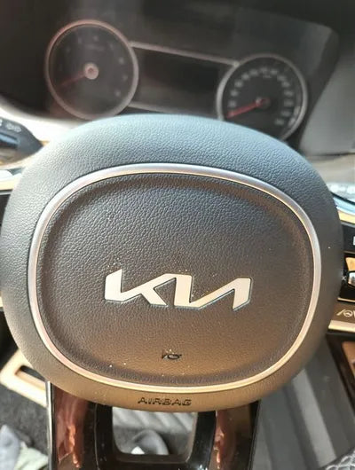2021 Kia Sorento KNARH81FGNA137783 VIN:KNARH81FGNA137783