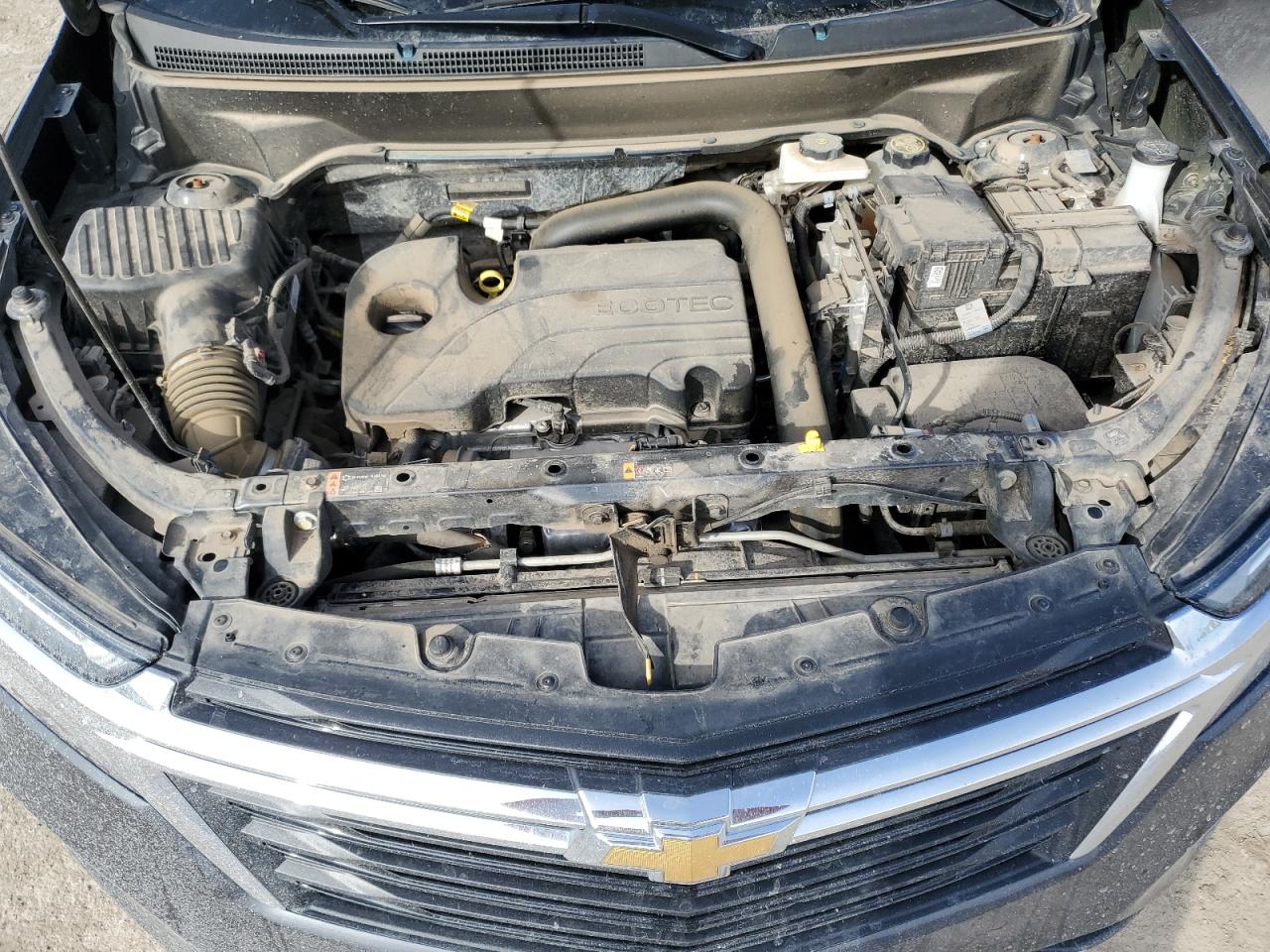 2023 CHEVROLET EQUINOX LT VIN:3GNAXJEG0PS182885