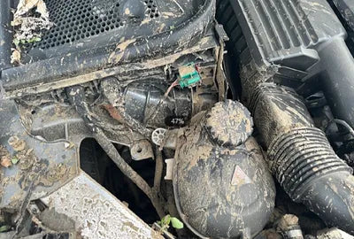 2020 Mercedes-Benz E 300 W1KZF5EB5LA817918 VIN:W1KZF5EB5LA817918