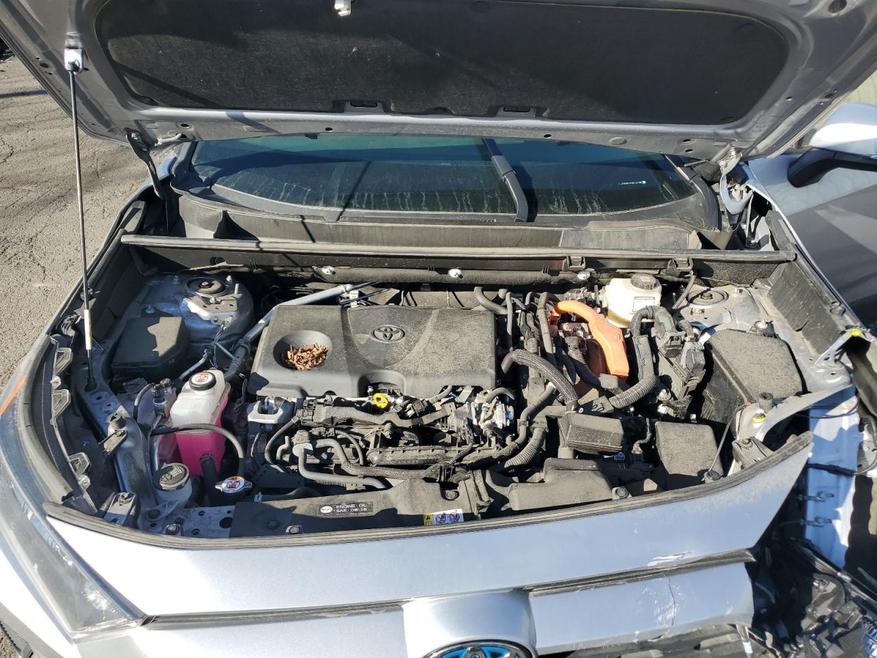 2022 TOYOTA RAV4 LE VIN:JTMMWRFV0ND156188