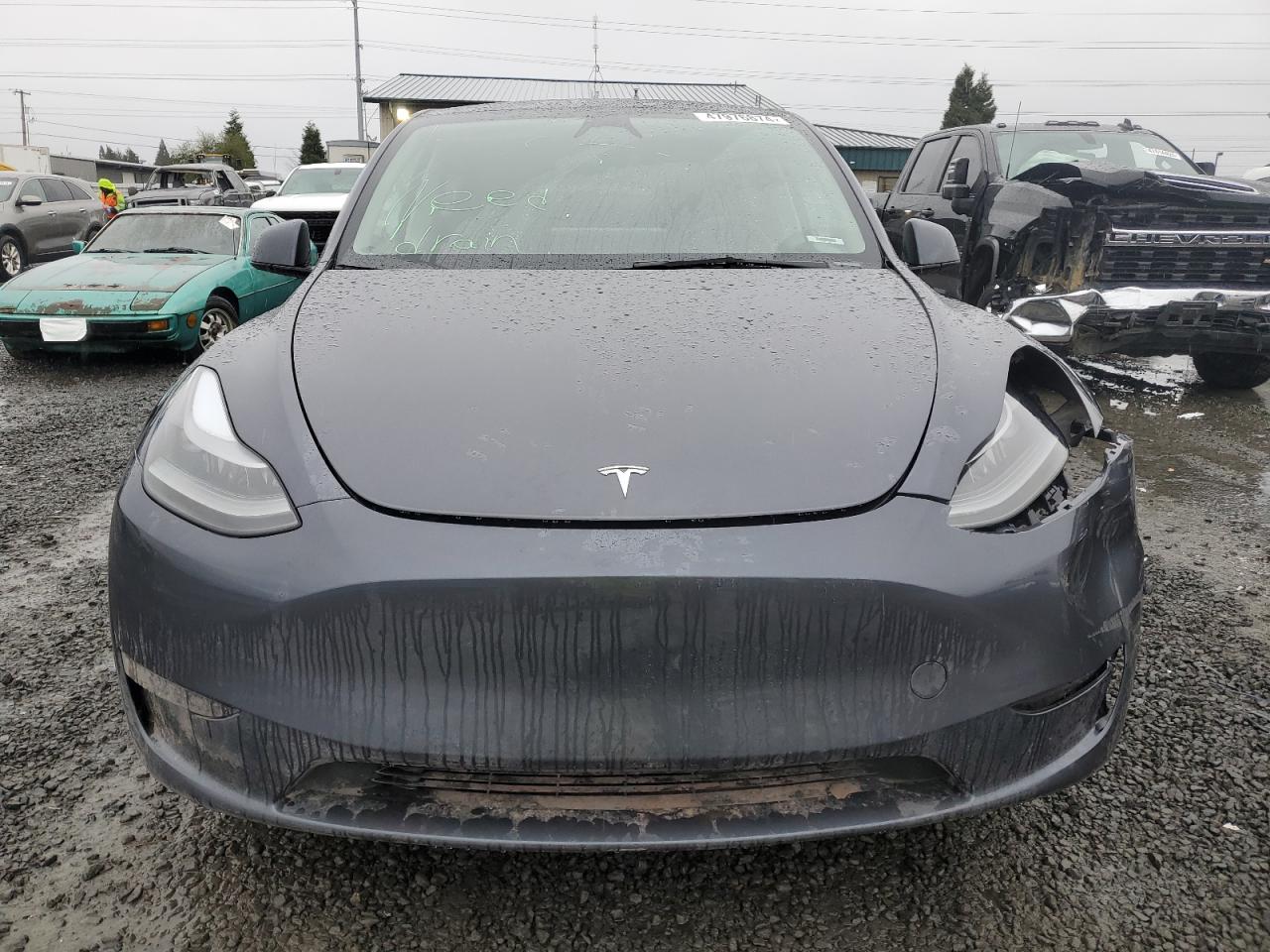 2023 TESLA MODEL Y  VIN:7SAYGDEE2PF879560