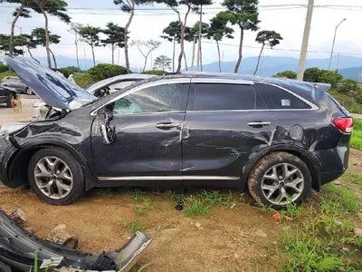 2016 Kia Sorento KNAPS81ABGA223165 VIN:KNAPS81ABGA223165