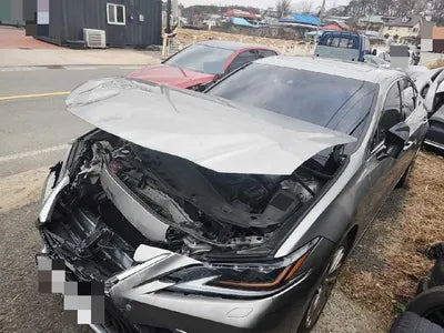 2019 Lexus ES 300 VIN: