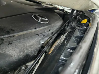 2018 Mercedes-Benz A 200 WDDBF4DB5JJ618930 VIN:WDDBF4DB5JJ618930