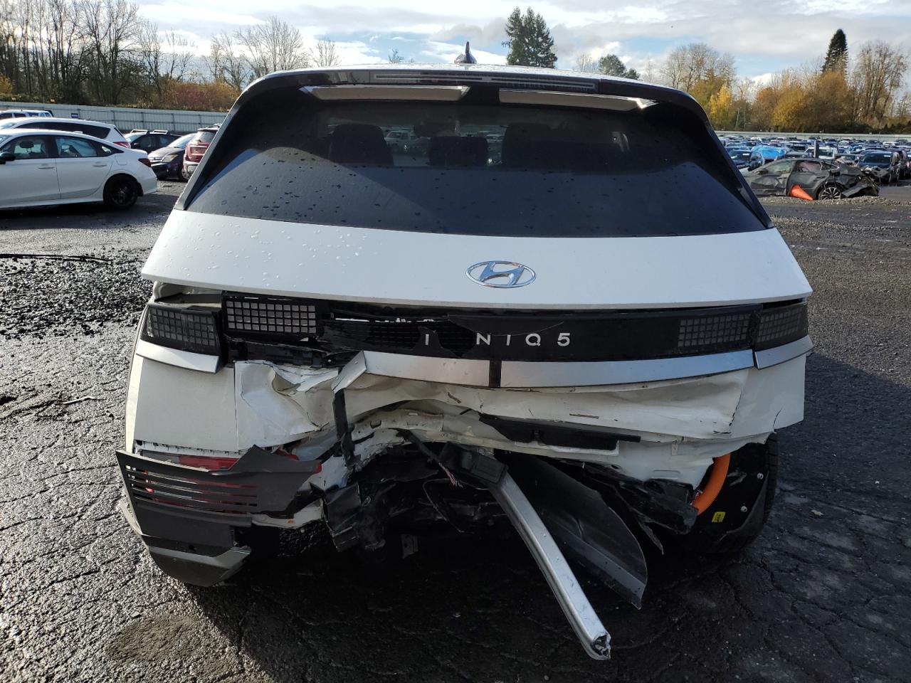 2024 HYUNDAI IONIQ 5 SE VIN:KM8KMDDFXRU302206