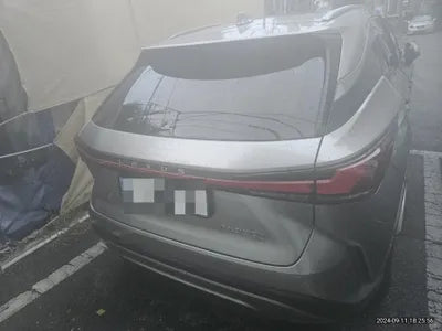 2023 Lexus RX 350 VIN: