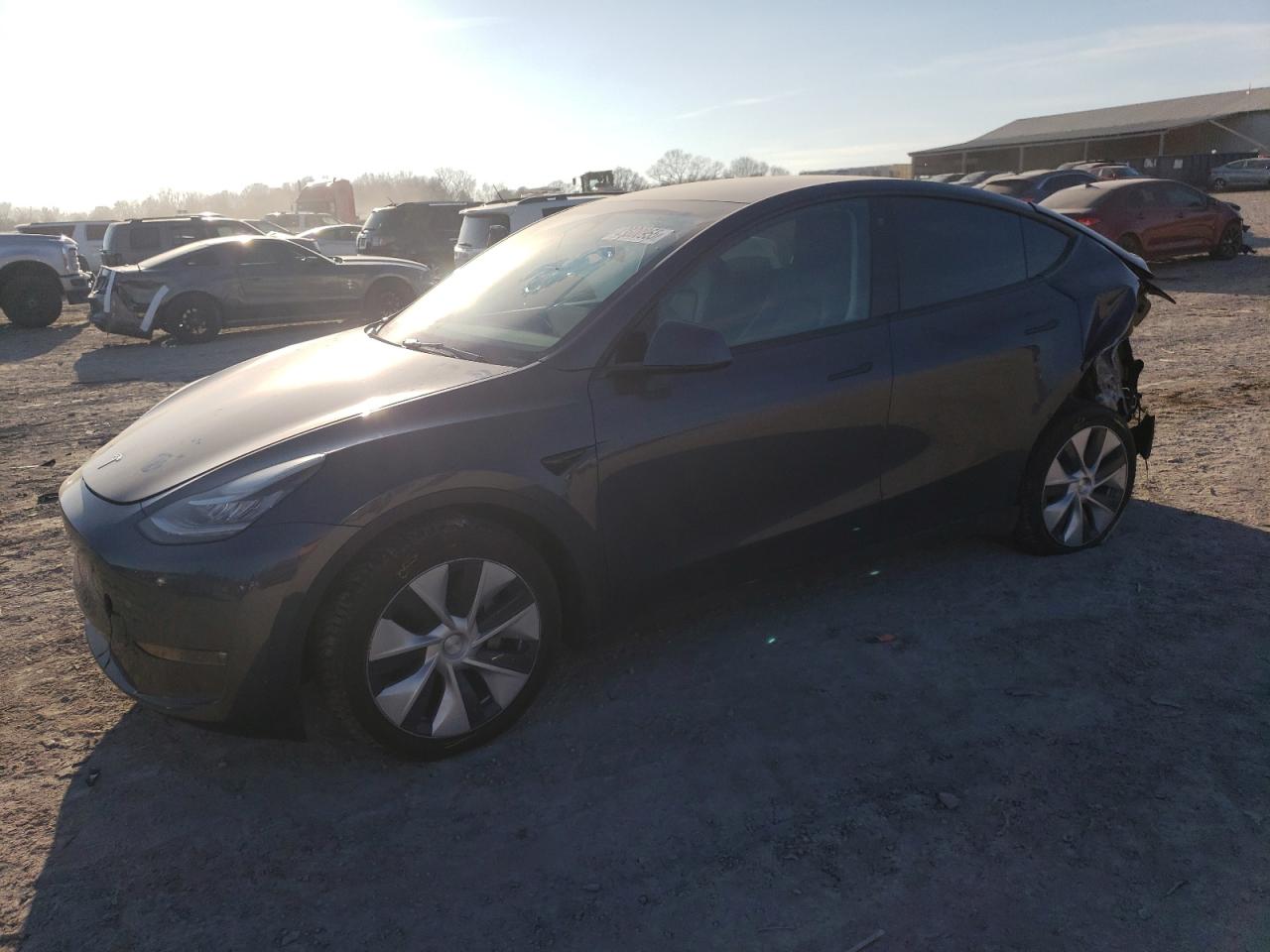2022 TESLA MODEL Y  VIN:7SAYGDEE6NF331851