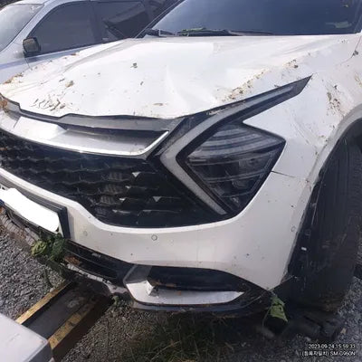 2022 Kia Sportage 152KMKNAPX81GBNK0 VIN:152KMKNAPX81GBNK0