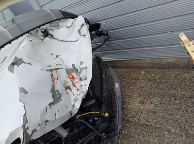 2016 Hyundai Santa FE KMHSW81UBGU684005 VIN:KMHSW81UBGU684005