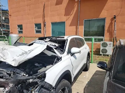 2021 Hyundai Santa FE KMHS381HGMU344096 VIN:KMHS381HGMU344096