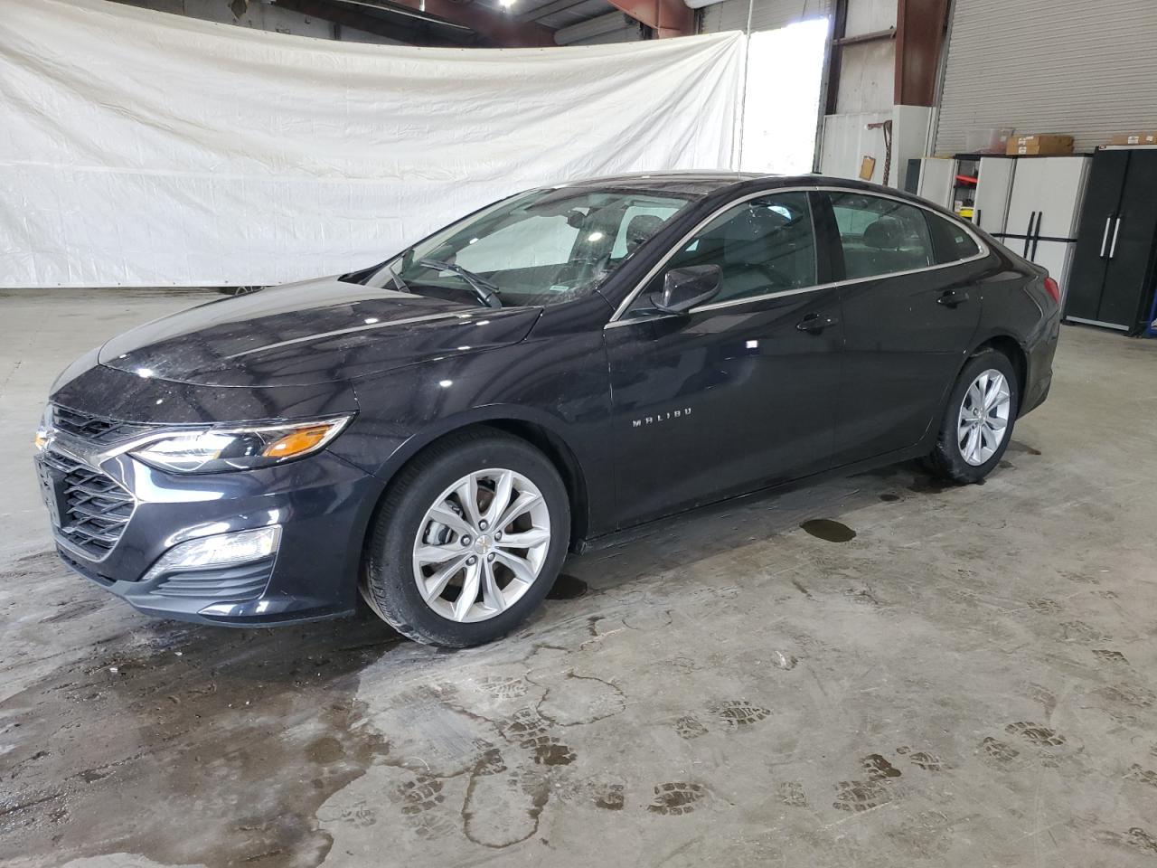 2023 CHEVROLET MALIBU LT VIN:1G1ZD5ST0PF173646