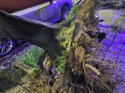 2018 Lexus ES 300 VIN: