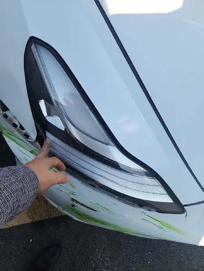 2019 Tesla Model 3 VIN: