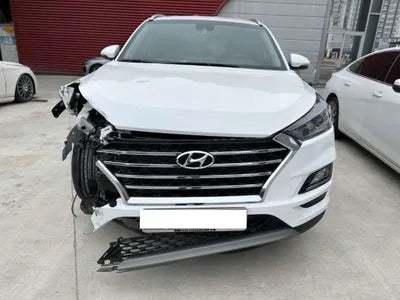 2019 Hyundai Tucson KMHJ5817GKU943387 VIN:KMHJ5817GKU943387