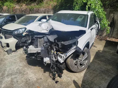 2020 Hyundai Santa FE KMHS381HGMU328111 VIN:KMHS381HGMU328111