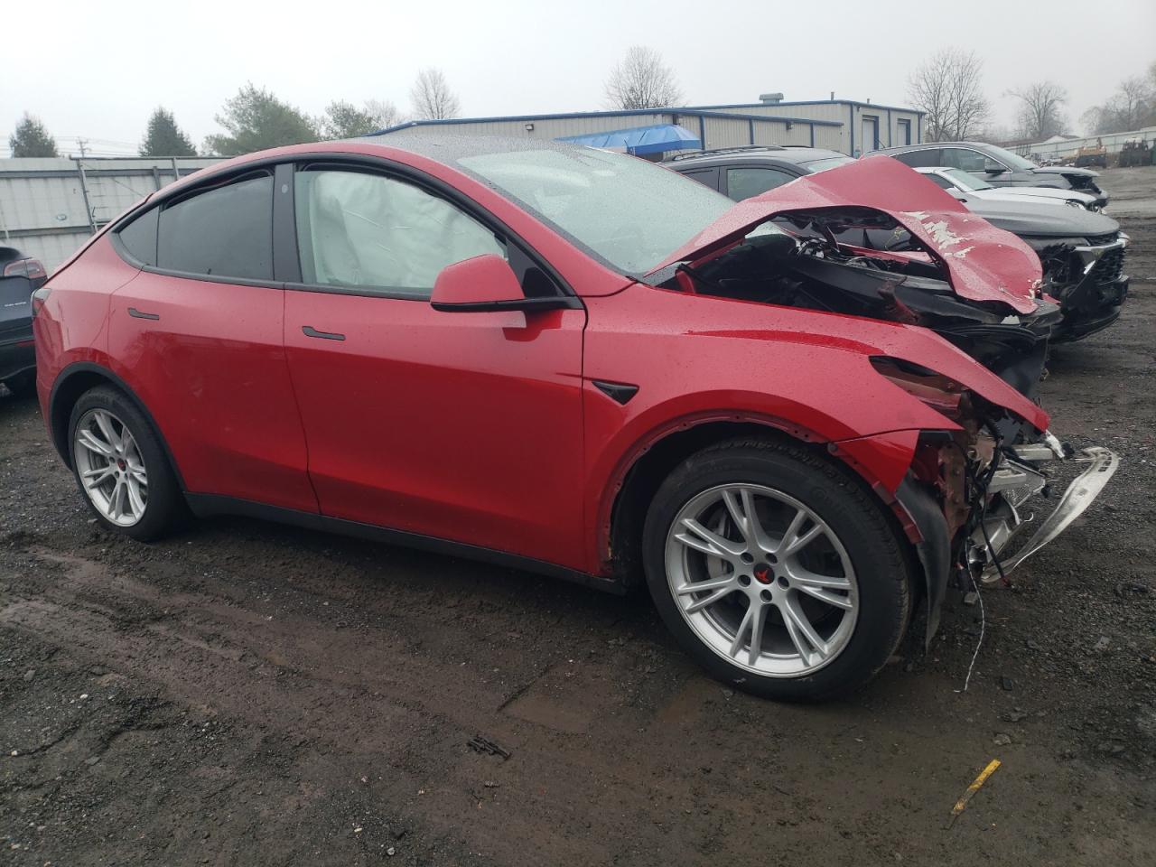 2023 TESLA MODEL Y  VIN:7SAYGDEE6PF756375