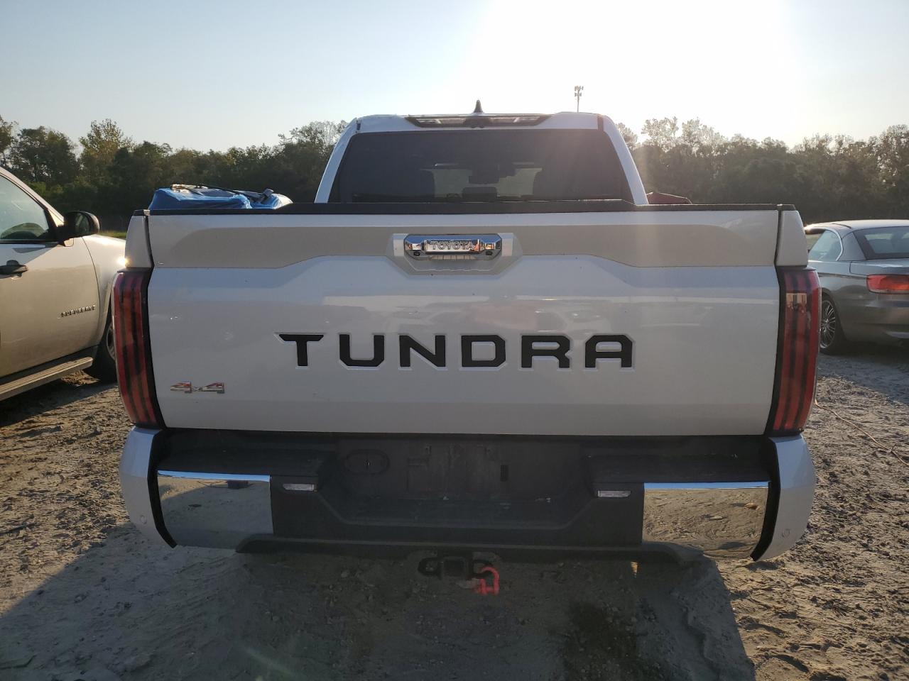 2022 TOYOTA TUNDRA CREWMAX PLATINUM VIN:5TFMC5DB4NX006593