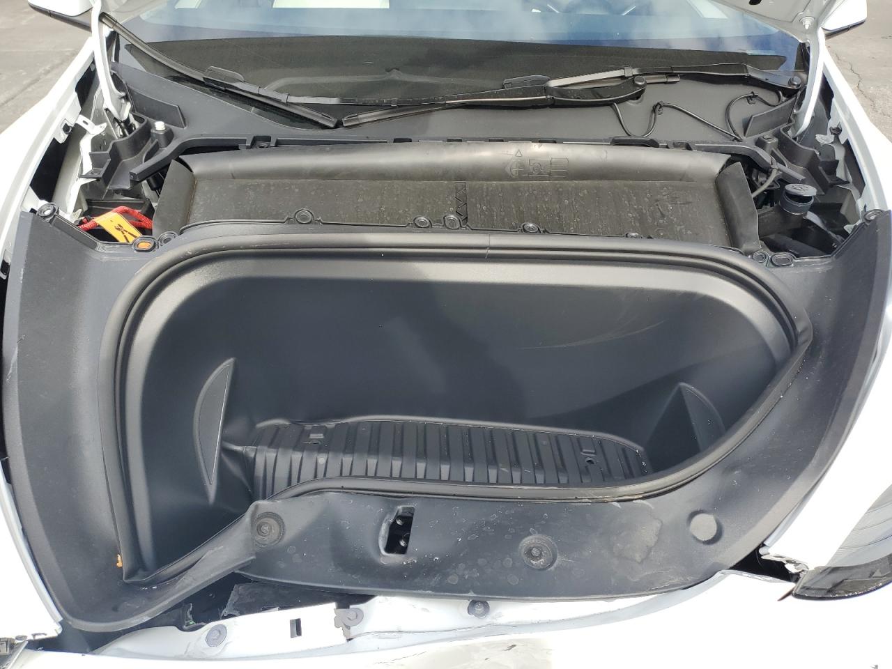 2024 TESLA MODEL Y  VIN:7SAYGDEF8RF179750