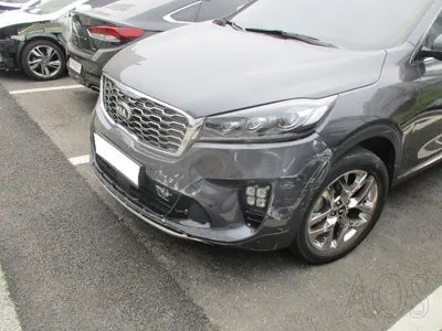 2019 Kia Sorento KNAPH81BBLA599043 VIN:KNAPH81BBLA599043