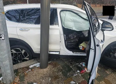 2021 Hyundai Santa FE KMHS381HGMU317770 VIN:KMHS381HGMU317770