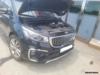 2020 Kia Carnival KNAME811BLS617207 VIN:KNAME811BLS617207