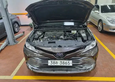 2019 Toyota Camry JTNB21HKXK3019523 VIN:JTNB21HKXK3019523