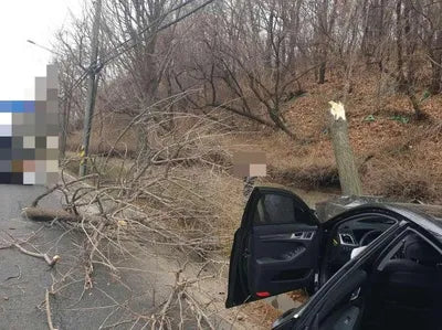 2016 Genesis G80 KMHGL41DBHU197340 VIN:KMHGL41DBHU197340