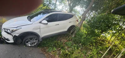 2016 Hyundai Santa FE KMHSW81UBGU638113 VIN:KMHSW81UBGU638113