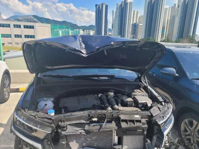 2023 Kia Sorento KNARM81FGPA204044 VIN:KNARM81FGPA204044