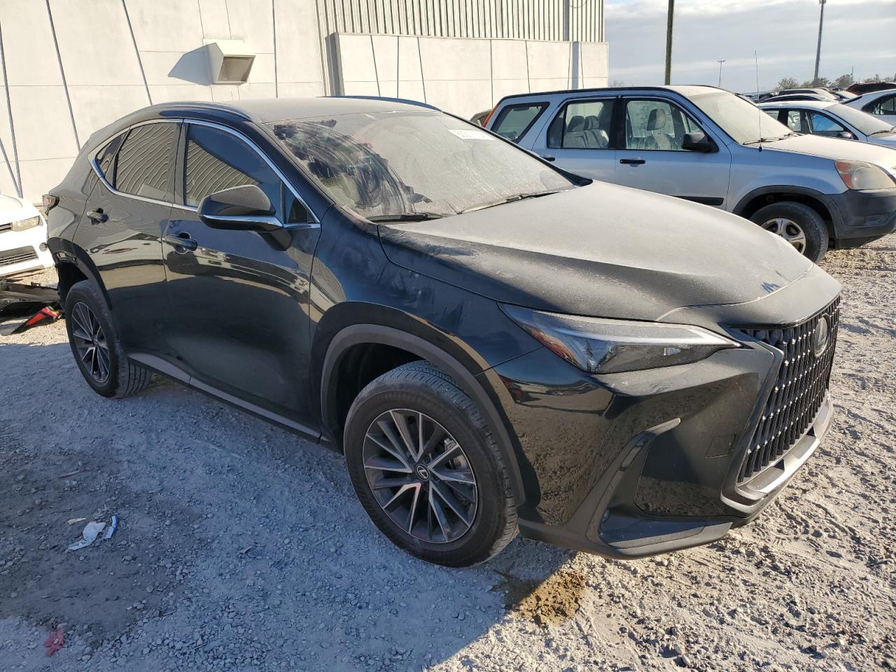 2024 LEXUS NX 250 BASE VIN:2T2ADCAZ3RC007806