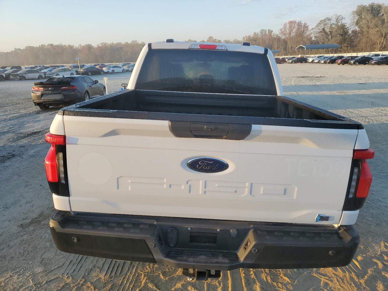 2022 FORD F150 LIGHTNING PRO VIN:1FTVW1EL0NWG04696