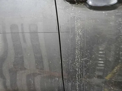 2020 Toyota RAV4 VIN: