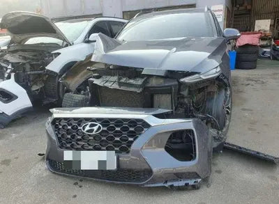 2018 Hyundai Santa FE KMHS381BBKU046289 VIN:KMHS381BBKU046289