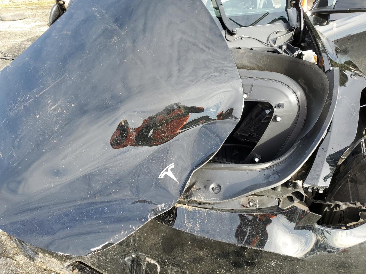 2024 TESLA MODEL Y  VIN:7SAYGDEEXRF119119