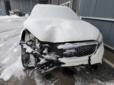 2016 Kia Sorento KNAPH81ABGA216735 VIN:KNAPH81ABGA216735