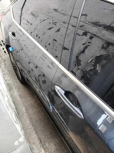 2019 Genesis G80 VIN: