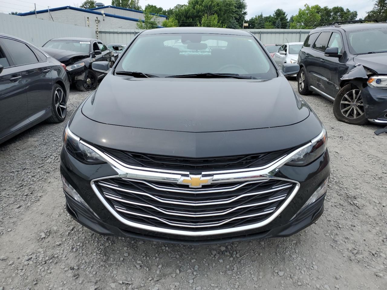 2024 CHEVROLET MALIBU LT VIN:1G1ZD5ST0RF170412