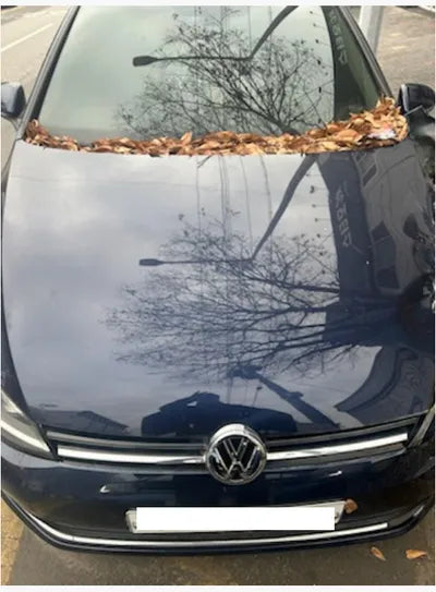 2015 Volkswagen Golf WVWZZZAUZFW211585 VIN:WVWZZZAUZFW211585