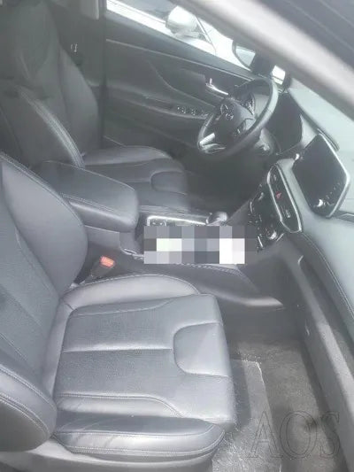 2019 Hyundai Santa FE KMHS281BDKU020129 VIN:KMHS281BDKU020129