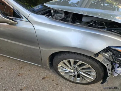 2019 Lexus ES 300 VIN: