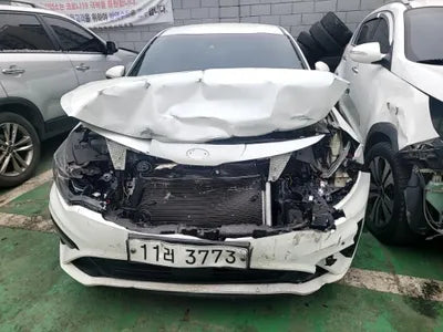 2019 Kia K5 KNAGW411BKA310136 VIN:KNAGW411BKA310136