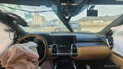 2023 Kia Sorento KNARJ81FGPA201460 VIN:KNARJ81FGPA201460