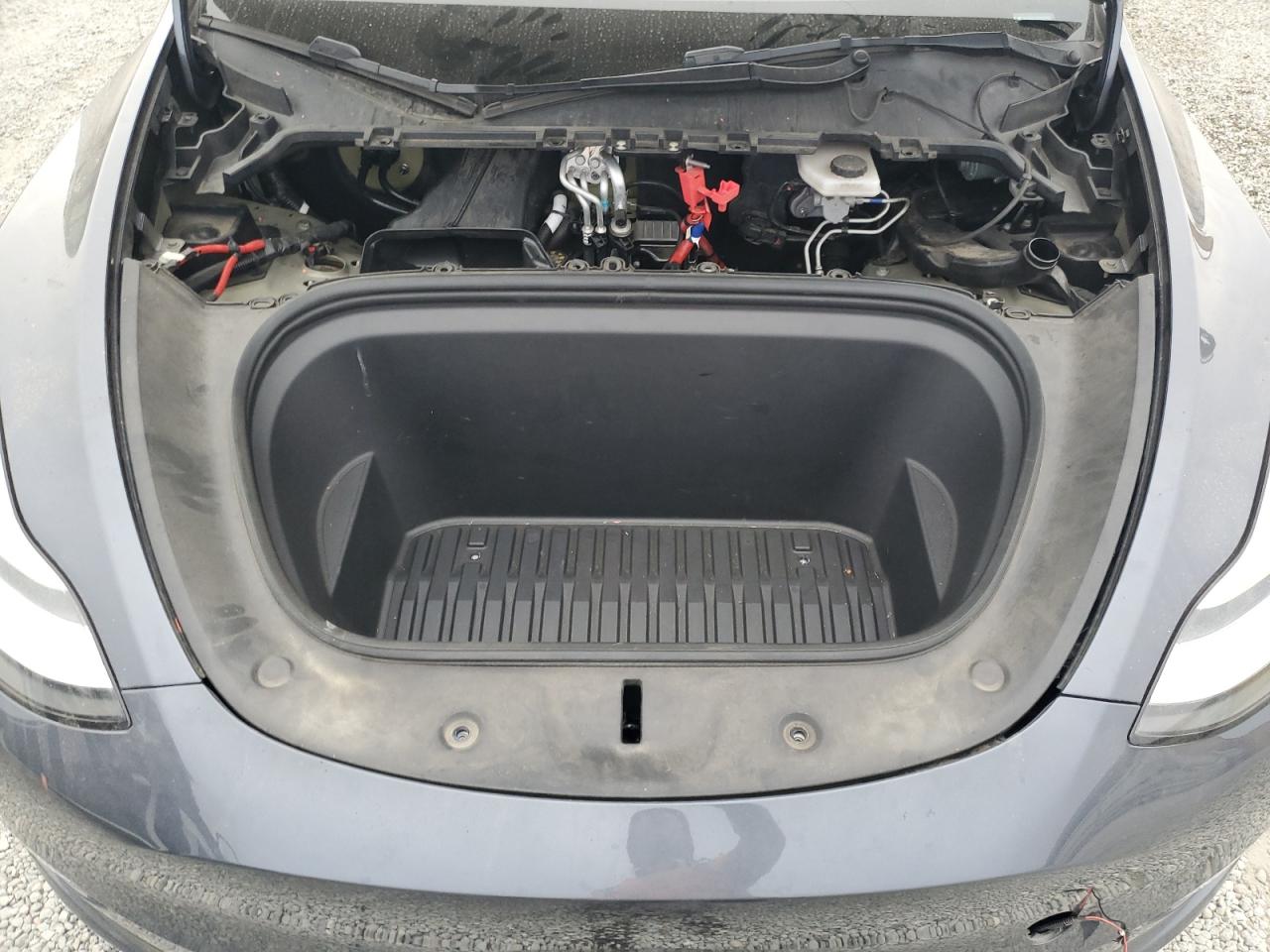2023 TESLA MODEL Y  VIN:7SAYGDEE8PA032782