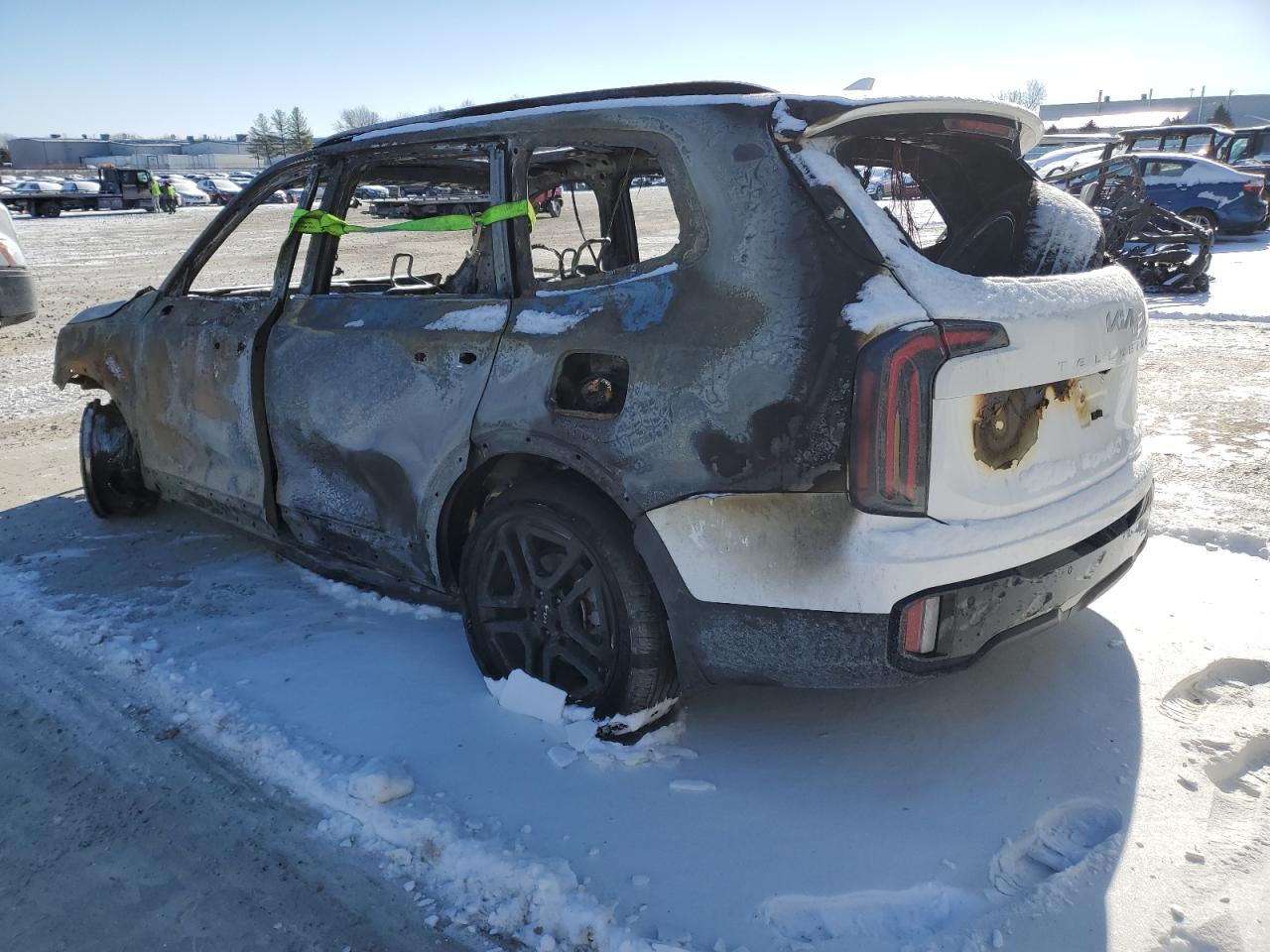 2024 KIA TELLURIDE SX VIN:5XYP5DGC1RG452201