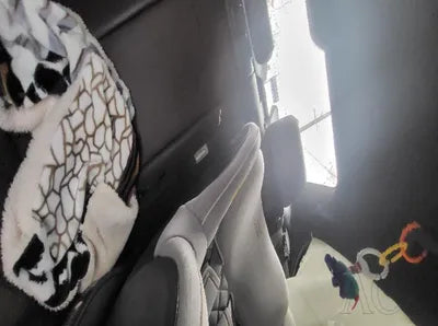 2021 BMW 530 WBA71BH00MWX14531 VIN:WBA71BH00MWX14531