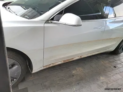 2020 Tesla Model 3 NONE VIN:
