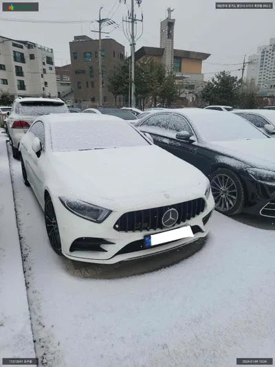 2018 Mercedes-Benz CLS 400 WDD2J2DB6KA008412 VIN:WDD2J2DB6KA008412