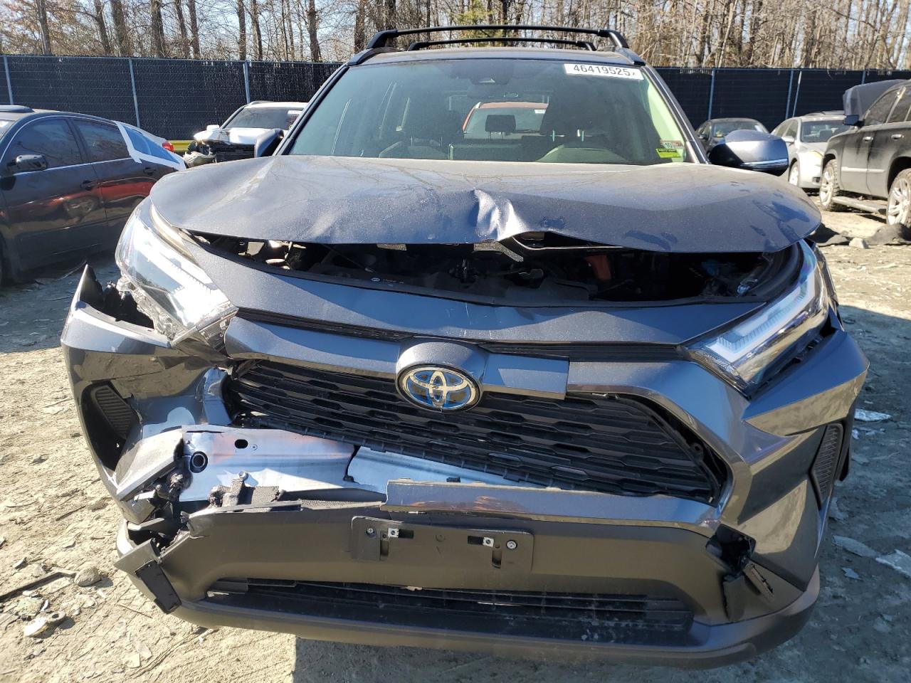 2023 TOYOTA RAV4 XLE VIN:JTMRWRFVXPD186887